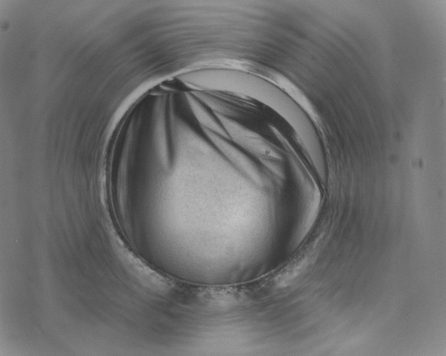 X0000076320955200610161640