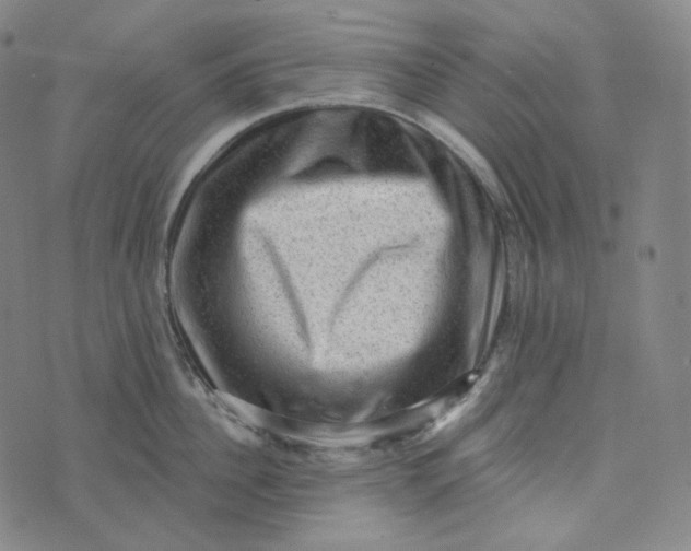 X0000076320956200610161640