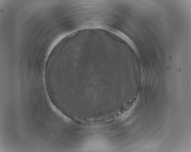 X0000076320958200610161640