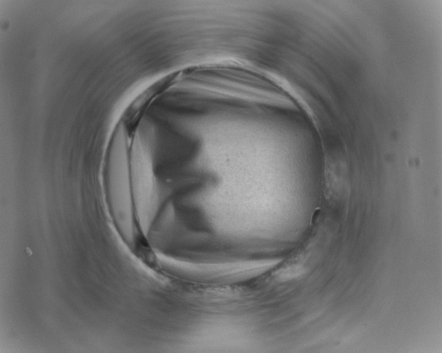 X0000076320959200610161640