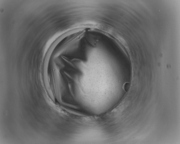 X0000076320960200610161640