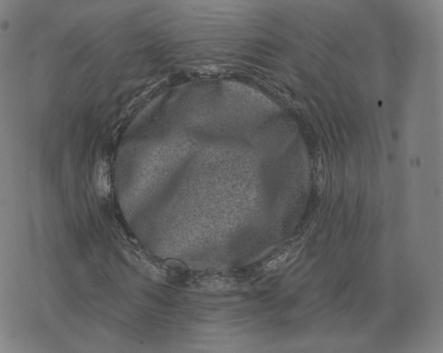 X0000076320962200610161640