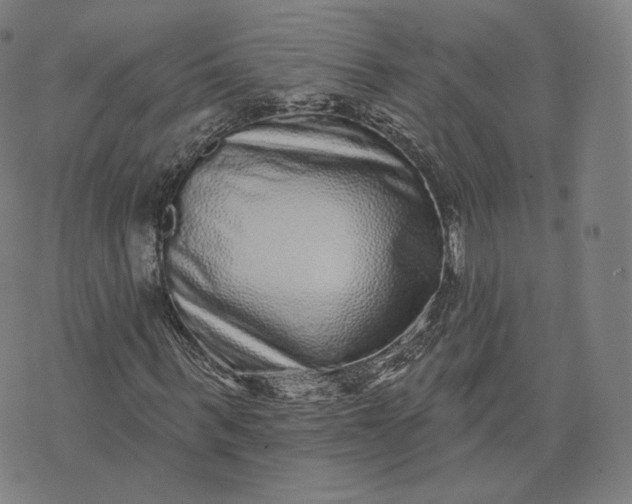 X0000076320963200610161640