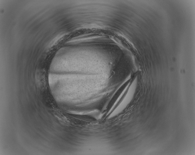 X0000076320968200610161640