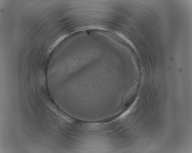 X0000076320969200610161639