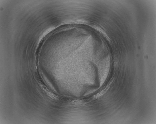 X0000076320974200610161639