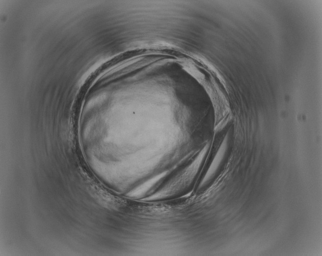 X0000076320975200610161639