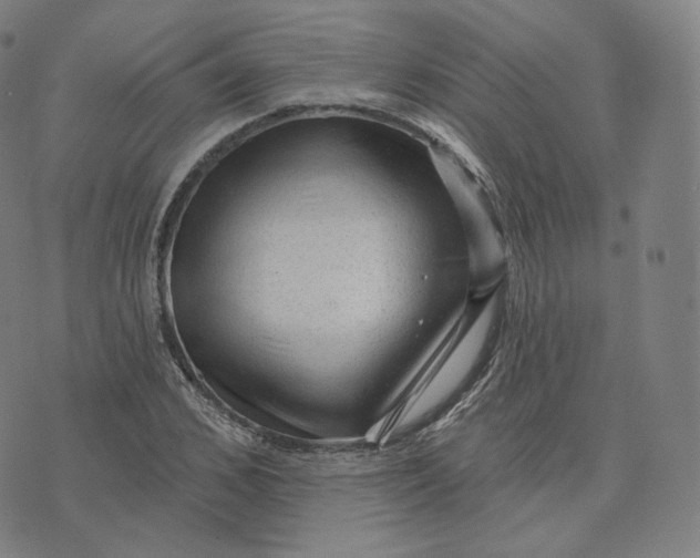 X0000076320976200610161639