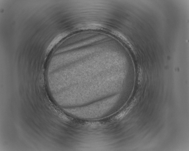 X0000076320978200610161639