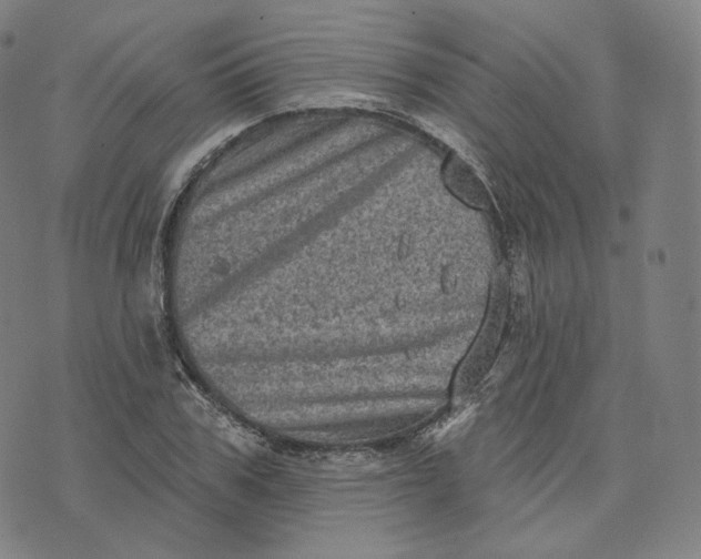 X0000076320979200610161639