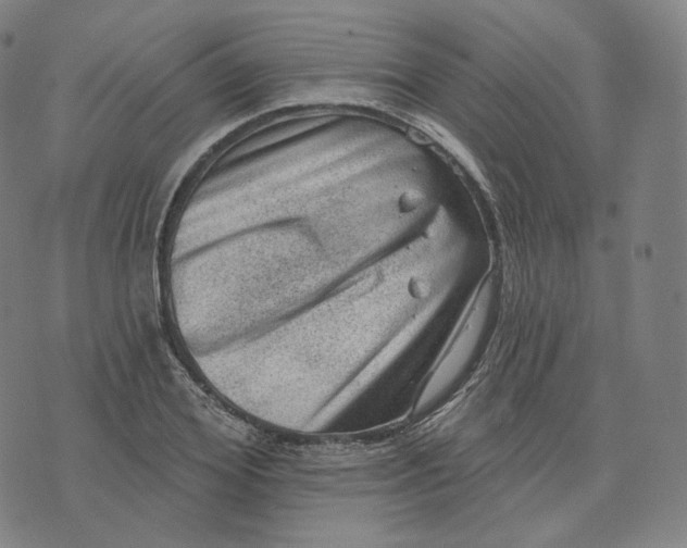 X0000076320980200610161639