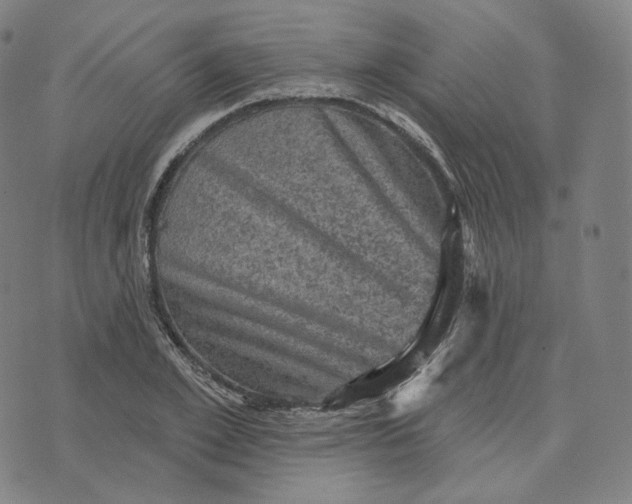 X0000076320981200610161639