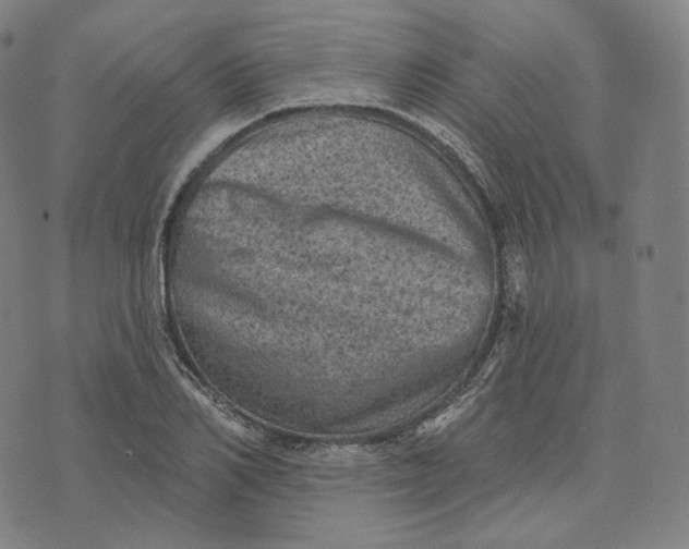 X0000076320982200610161639