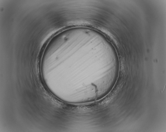 X0000076320983200610161639