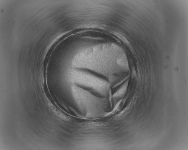 X0000076320984200610161639