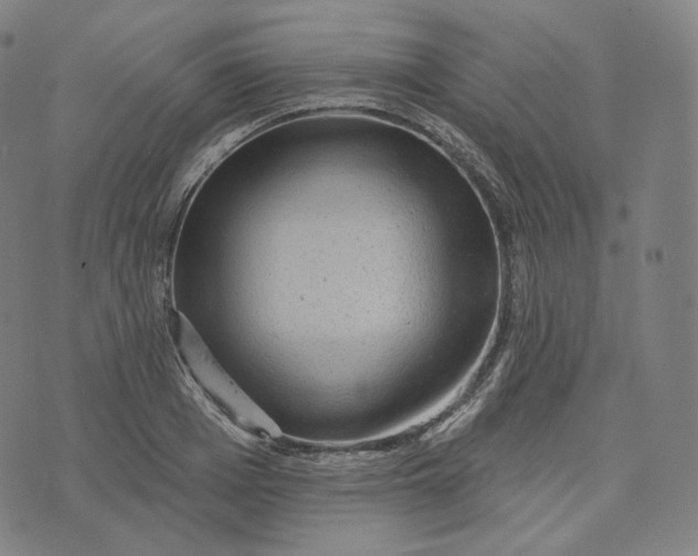 X0000076320985200610161639