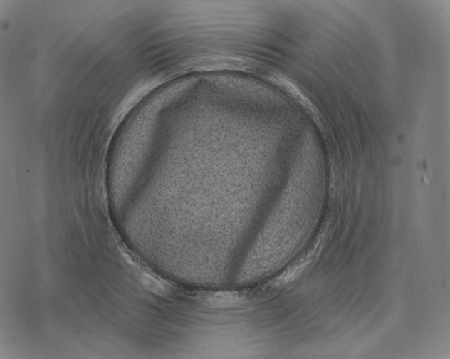 X0000076320986200610161639