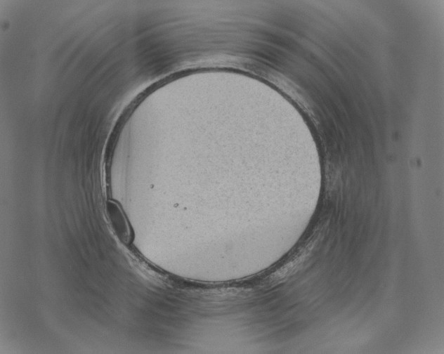 X0000076320988200610161639