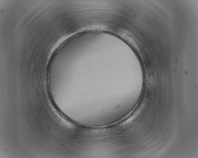 X0000076320989200610161639