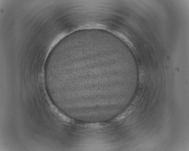 X0000076320990200610161639