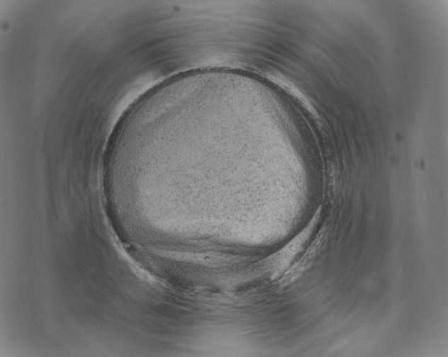 X0000076320991200610161639