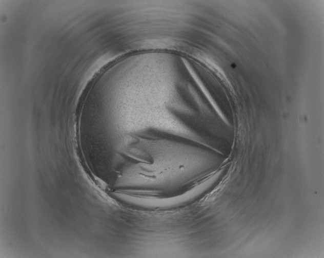 X0000076320992200610161639