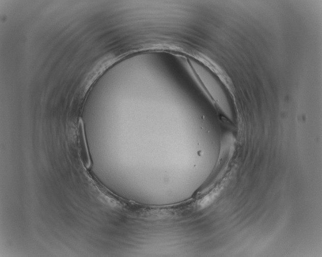 X0000076320993200610161639