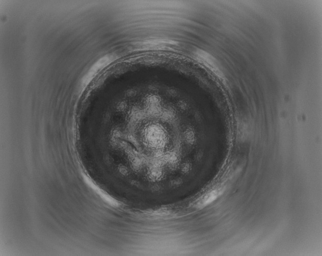 X0000076320994200610161639