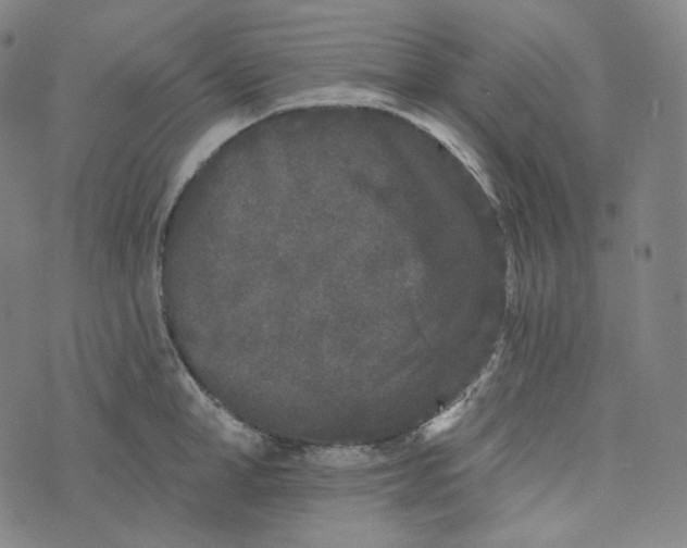 X0000076320998200610161639