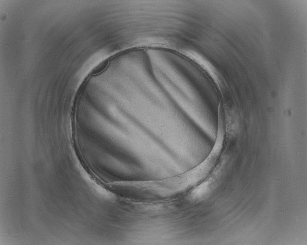 X0000076320999200610161639