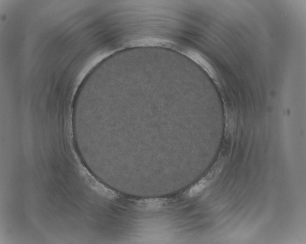 X0000076321000200610161639