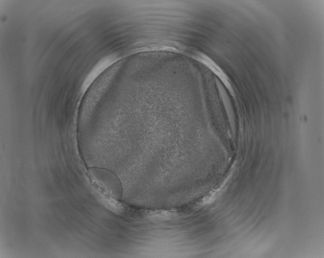 X0000076321002200610161639