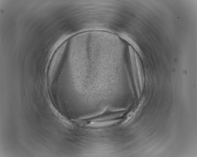 X0000076321004200610161639