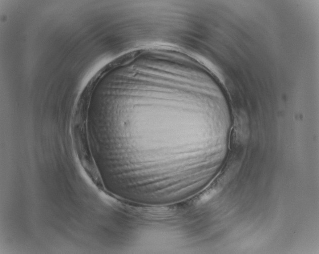 X0000076321007200610161639