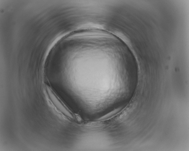 X0000076321008200610161639