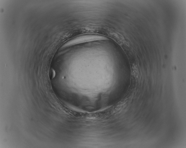 X0000076321009200610161638