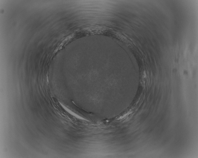 X0000076321010200610161638