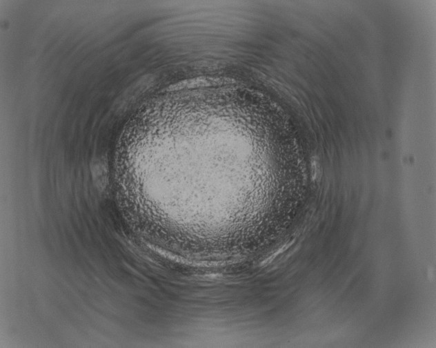 X0000076321011200610161638