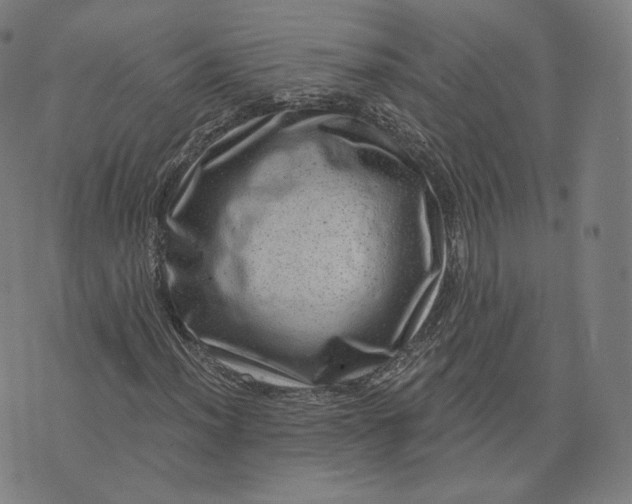 X0000076321012200610161638