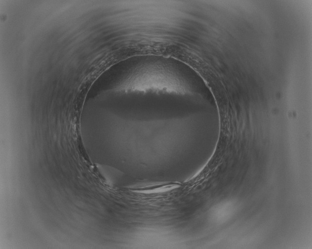 X0000076321013200610161638