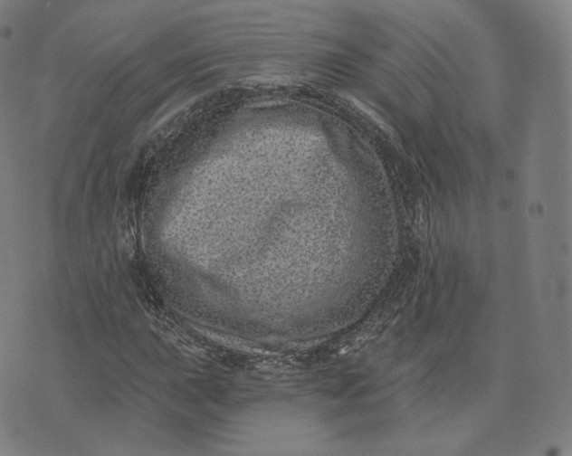 X0000076321015200610161638