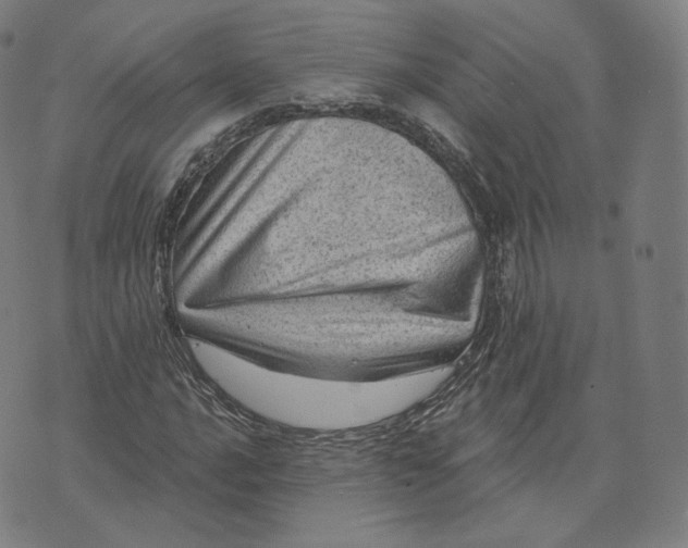 X0000076321016200610161638