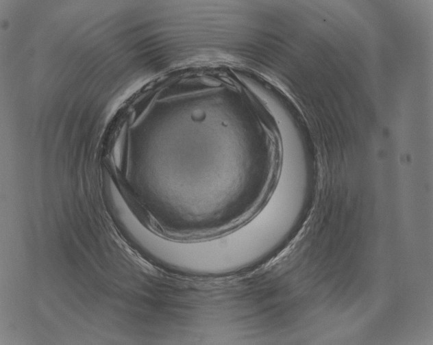 X0000076321018200610161638