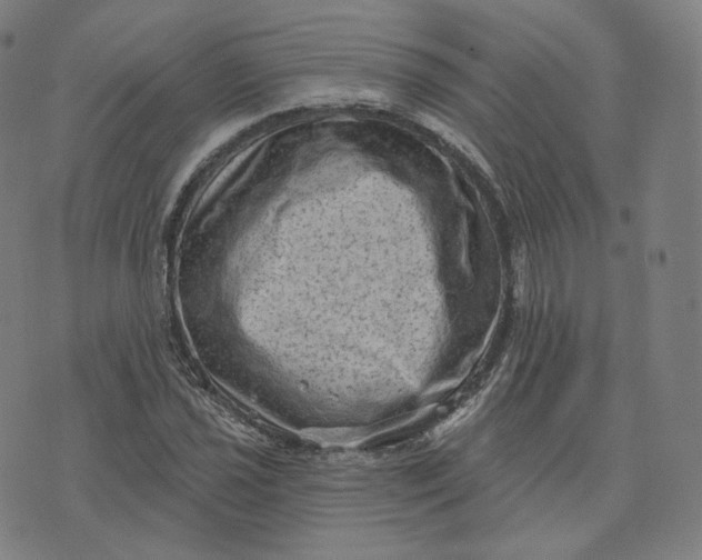 X0000076321021200610161638