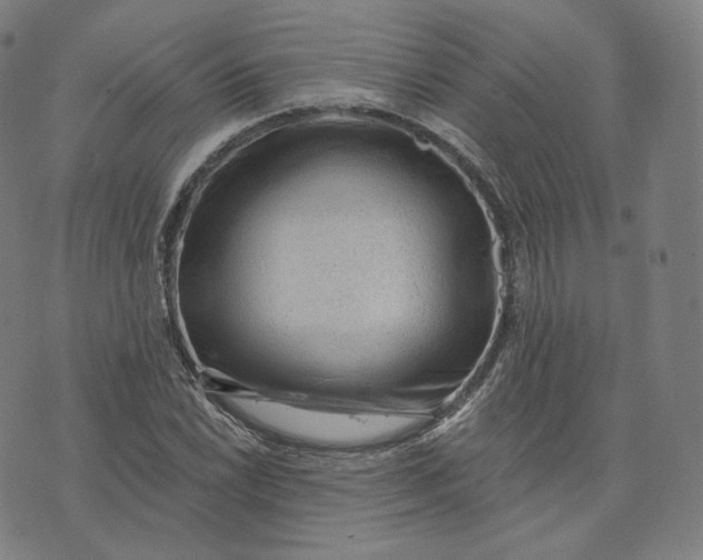 X0000076321022200610161638