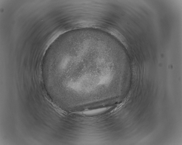 X0000076321023200610161638