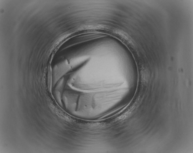 X0000076321025200610161638