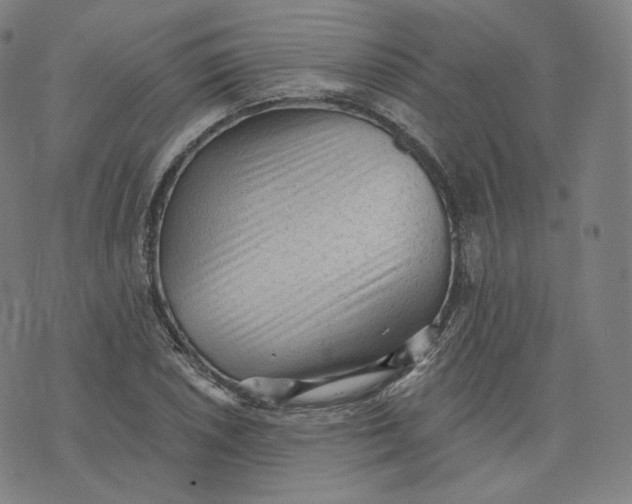 X0000076321026200610161638