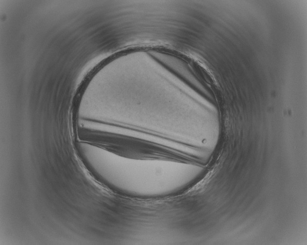 X0000076321030200610161638