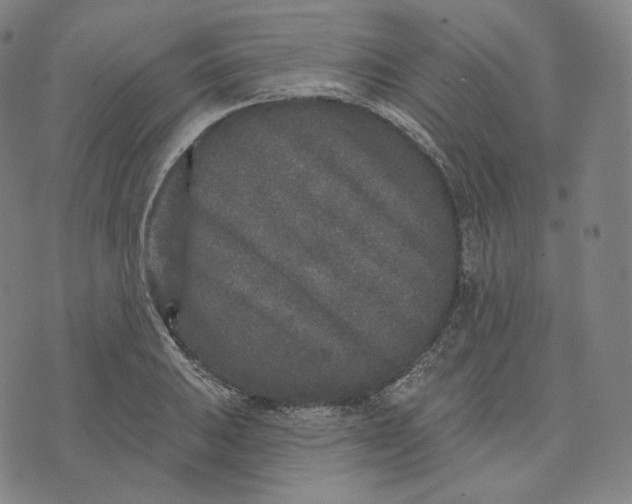 X0000076321031200610161638